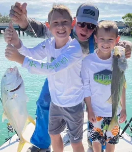 Jack Crevalle and Snook Fishing, FL